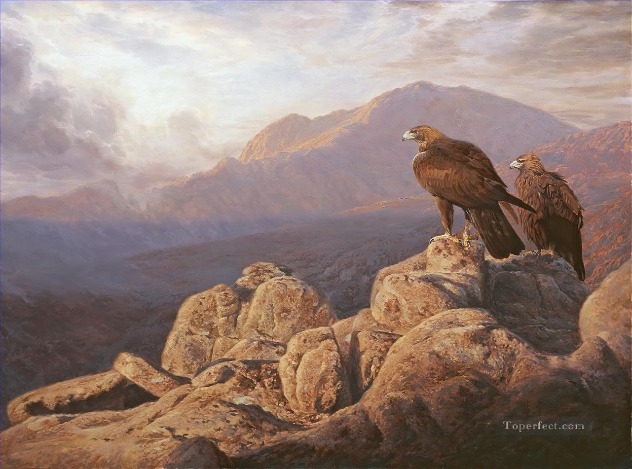 eagle aguilas reales birds Oil Paintings